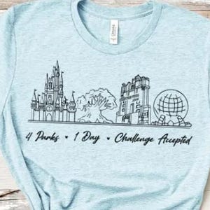 4 Park 1 Day Challenge Accepted Shirt/Disney World Park Hop Shirt/Cinderella Castle/Epcot Spaceship Earth/Tree of Life/Hollywood Tower Hotel