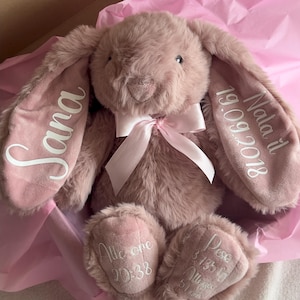 Può includere: Un coniglio di peluche color rosa cipria con lunghe orecchie e un fiocco di raso bianco. Le orecchie del coniglio sono ricamate con i nomi "Sana" e "Nala il 19.09.2018". Le zampe del coniglio sono ricamate con il testo "Alle ore 20:38" e "Peso 3.135 kg Altezza 51 cm".