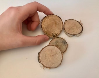 Hamster, Rabbit, Guinea Pig, Chinchilla Toy | Pet Rodent Chew Toy | Birchwood Slices