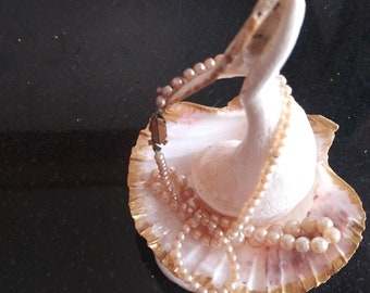 Può includere: Un portagioielli decorativo a forma di conchiglia con una collana di perle drappeggiata sopra. Il guscio è bianco con un bordo dipinto d'oro. La collana presenta piccole perle rotonde rosa chiaro.
