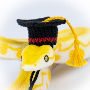 May include: A yellow and white snake wearing a black graduation cap with a red band and a yellow tassel.