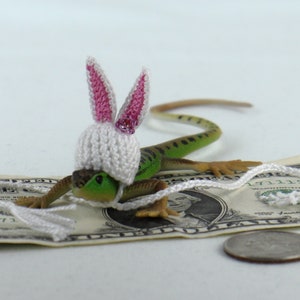May include: A small green lizard wearing a white crocheted bunny hat with pink ears. The lizard is sitting on a US dollar bill.