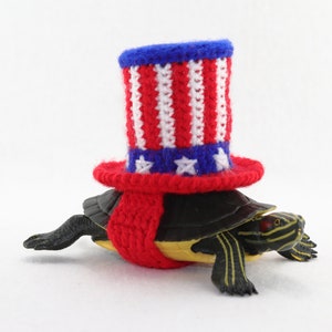 Fourth of july tortoise costume, turtle uncle Sam top hat for tortoise