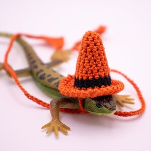 May include: A small green lizard wearing a bright orange crocheted hat with a black brim. The hat is perched on the lizard's head and the lizard is looking to the right.