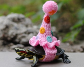 Birthday tortoise costume, party hat for turtle, turtle birthday decorations