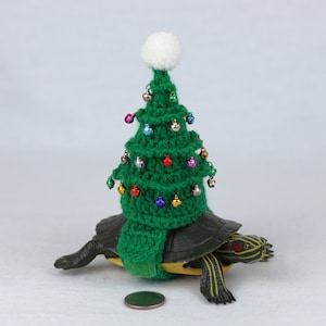 May include: A turtle wearing a green crocheted Christmas tree hat with colorful ornaments and a matching scarf. The hat has a white pom-pom on top. The turtle is on a white background.