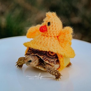 Tortoise sweater, turtle crochet costume, Easter tortoise chicken cozy