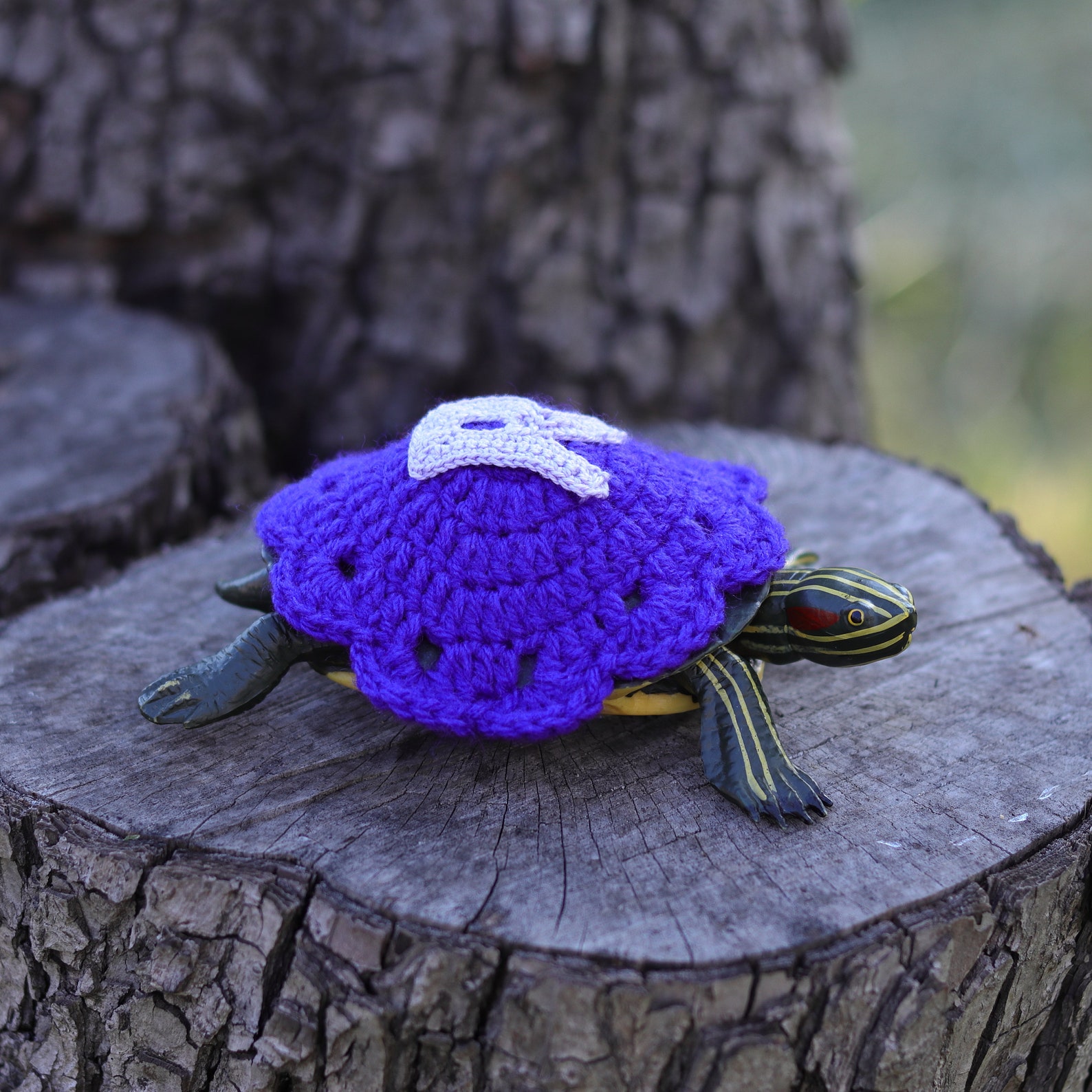 easy knit dog sweater in the round