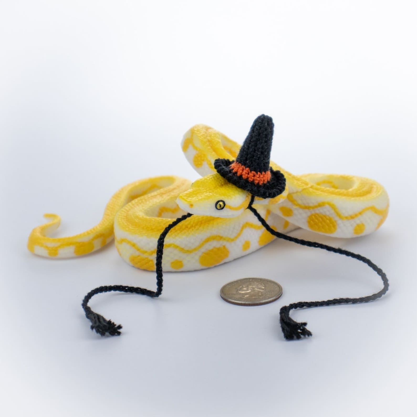 Tiny Black Witch Hat for Snake, Lizard, Bearded Dragon, Ball Python ...