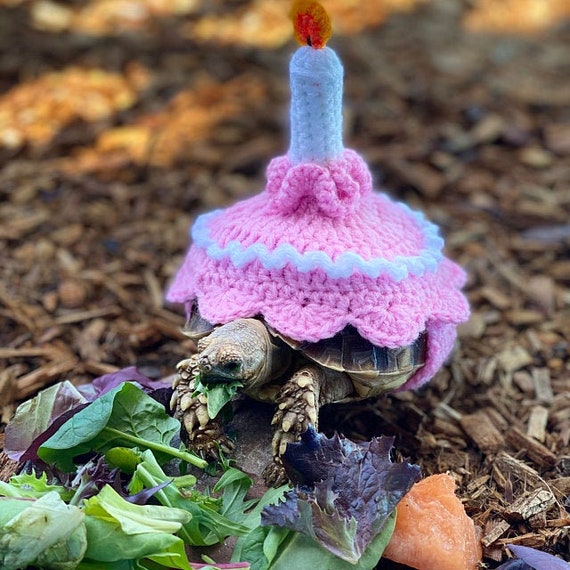 Tortoise Birthday Sweater Tortoise Costume Tortoise Sweater for Party Etsy Canada