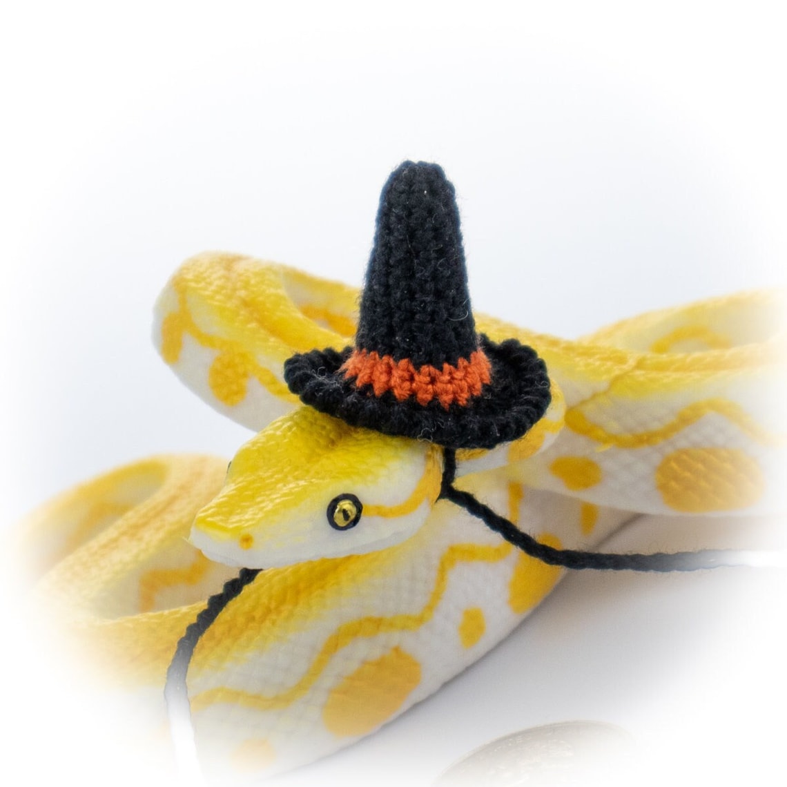 Tiny Black Witch Hat for Snake, Lizard, Bearded Dragon, Ball Python ...