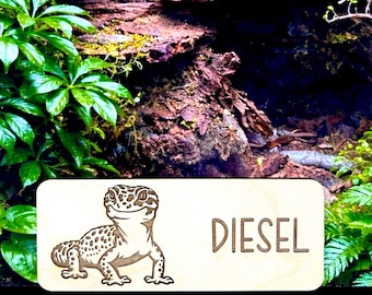 Leopard Gecko Tank Decor, Leopard Gecko Accessories, Leopard Gecko Tank, Leopard Gecko Tank Accessory, Leopard Gecko Decor, Gecko Gift