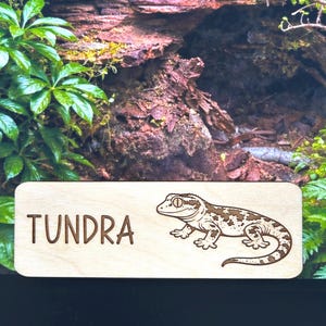 Médaillon de réservoir Chahoua Gecko, décoration de réservoir, accessoires pour gecko Chahoua, décor d'enceinte, enseigne habitat de reptiles, médaillon d'animal de compagnie exotique, bois