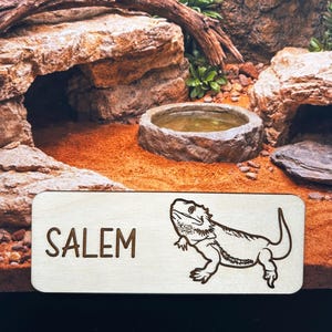 Decorazione per acquario a forma di drago barbuto, accessori per acquario a forma di drago barbuto, decorazione a forma di drago barbuto, cartello con nome a forma di drago barbuto, regali a forma di drago barbuto, Beardie