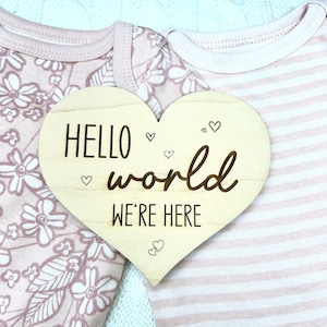 Hello World Baby Sign, Twin Baby Sign, Baby Sign for Hospital Girl, Birth Prop, Newborn Sign, Baby Shower Gift, Baby Photo Prop, Twin Girls