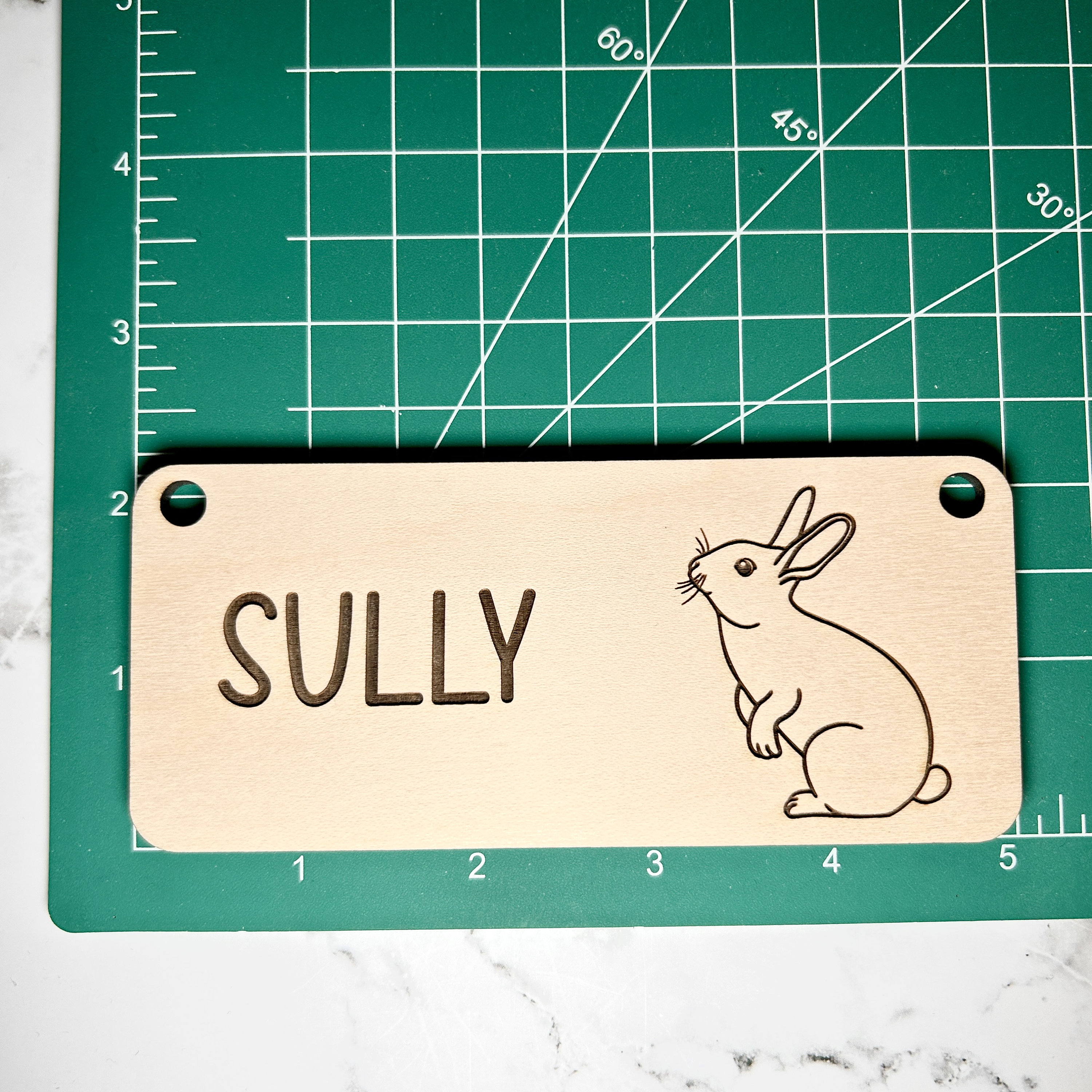 Bunny Name Tag, Rabbit Name Tag, Bunny Accessories for Rabbits, Cage ...