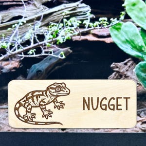 Könnte beinhalten: Rechteckiges Holzschild mit abgerundeten Ecken. Das Schild zeigt links eine detaillierte braune Laser-Cut-Gecko-Illustration und rechts den Namen "NUGGET" in braunen Großbuchstaben. Der Hintergrund umfasst Grün und Holz.