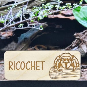 Targhetta con nome a forma di ragno saltatore, decorazione per recinto di ragno saltatore, decorazione con nome a forma di ragno, accessori per ragno saltatore, decorazione per gabbia di ragno saltatore, in legno
