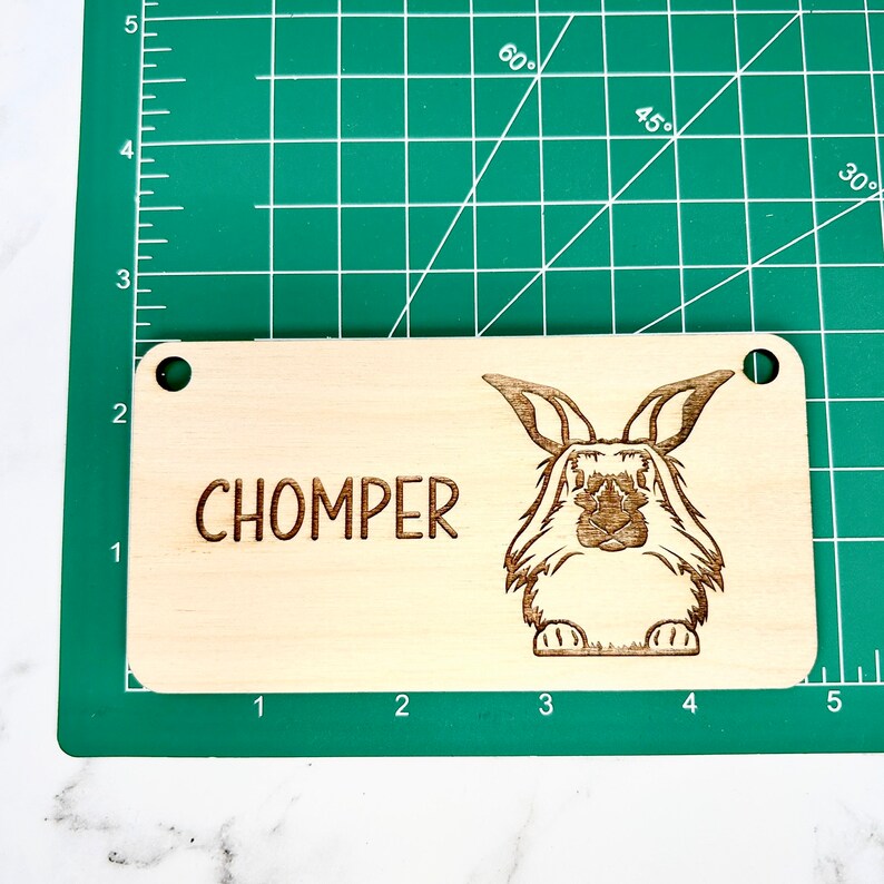 Lionhead Rabbit, Bunny Name Tag, Rabbit Name Tag, Bunny Accessories for ...