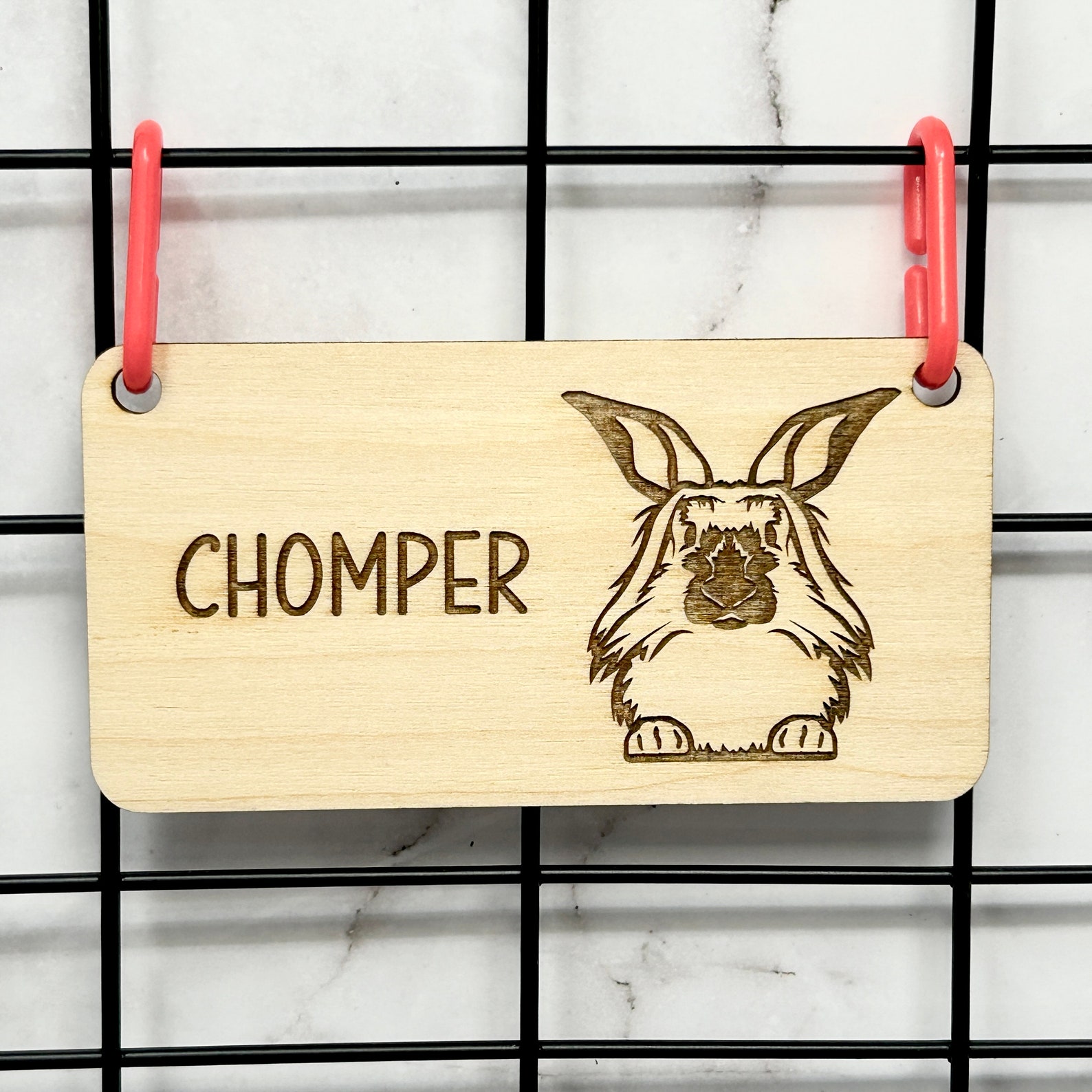Lionhead Rabbit, Bunny Name Tag, Rabbit Name Tag, Bunny Accessories for ...