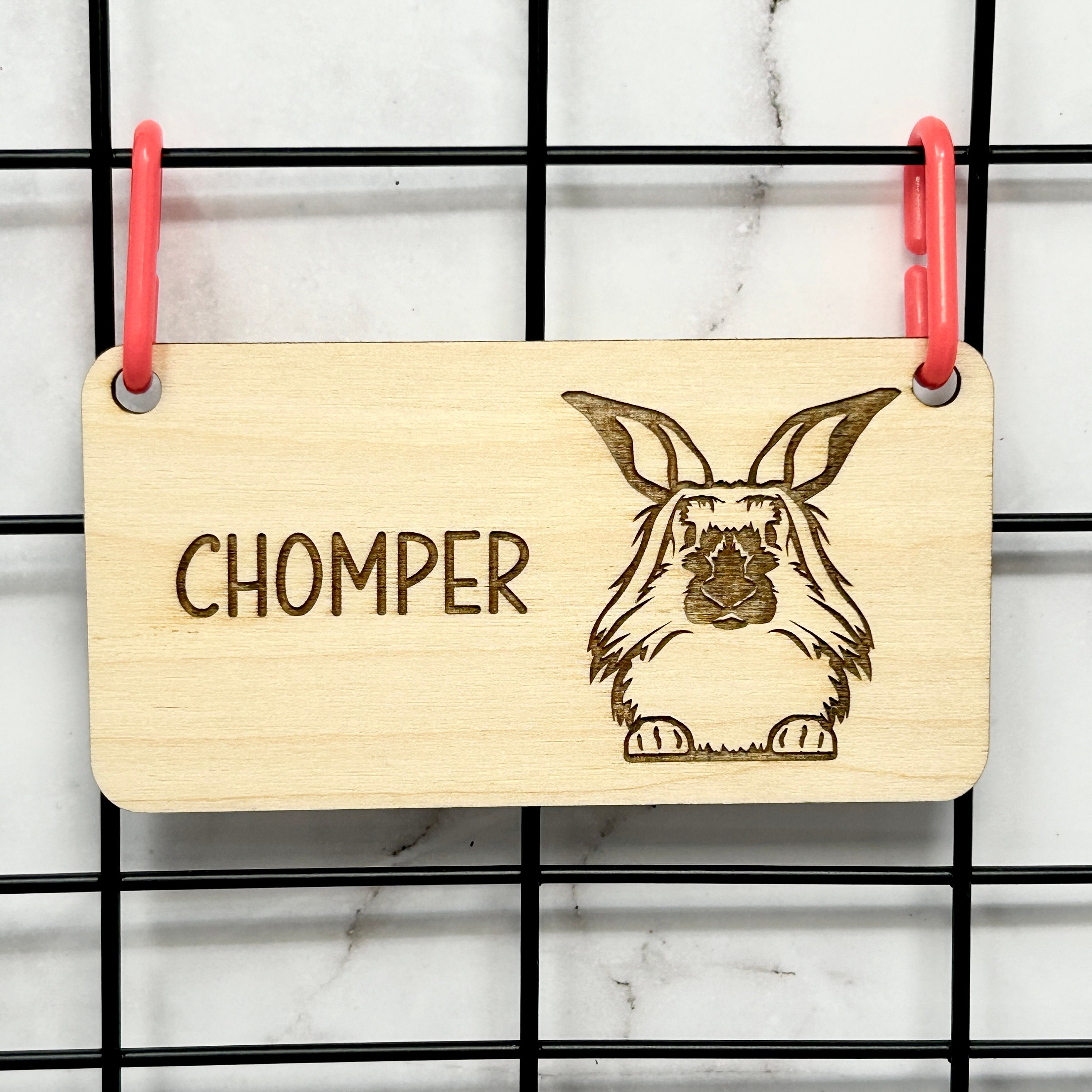 Name Sign For Rabbit Lionhead Rabbit, Bunny Name Tag, Rabbit Name Tag, Bunny Accessories for ...