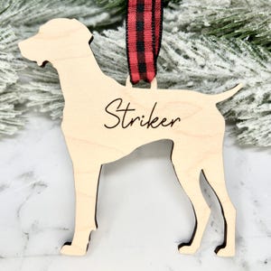 Weimaraner