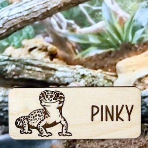 Leopard Gecko Accessories, Leopard Gecko Tank Décor, Leopard Gecko Tank, Leopard Gecko Tank Accessory, Leopard Gecko Décor, Leopard Gecko Mom, Leopard Gecko Sign, gecko accessories, gecko gift, gecko lizard, Gecko Cage, Leopard Gecko Gift