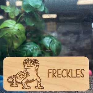 Leopard gecko carrier online