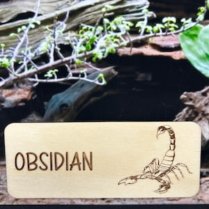 Puede incluir: Un letrero rectangular de madera clara con la palabra "OBSIDIAN" grabada en negrita. Una ilustración detallada de un escorpión está grabada en el lado derecho. La madera es de color claro.