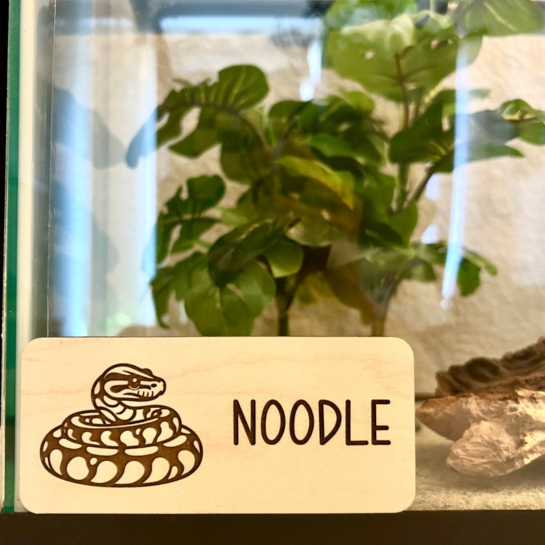 Python Tank Decor, Python Decor, Snake Tank Accessories, Python, Snake Gift, Snake Tank Decor, Snake Decor, Snake Decor for Tank, Snake Tank Decoration, Snake House, Tank Sign, Wood Snake, Snake House