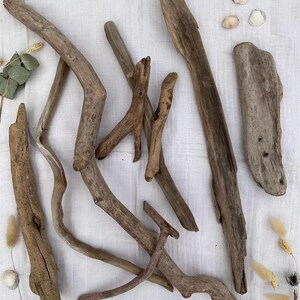 Puede incluir: Una colección de piezas de madera flotante de varias formas y tamaños, con tonos de madera natural que van del marrón claro al oscuro. Algunas piezas tienen curvas y nudos interesantes, lo que sugiere que fueron moldeadas por el agua. Pequeñas conchas marinas y plantas secas están dispersas.