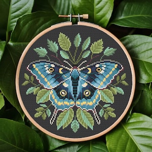May include: A cross-stitch embroidery of a butterfly in a wooden hoop. The butterfly has blue and yellow wings with intricate patterns, surrounded by green leaves on a dark gray background. The hoop is set against a backdrop of green leaves.