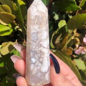 Flower agate point