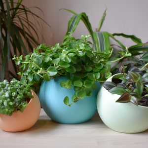 Colorful Tilted Sphere Planter, Modern Indoor Decor, , 3D Printed Eco Friendly PLA