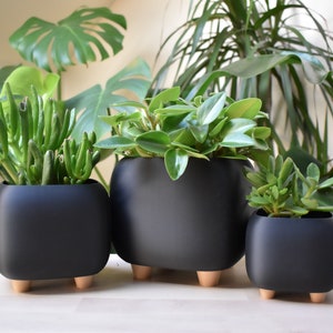 May include: Three black ceramic plant pots with wooden legs, each containing a different type of green plant. The pots are arranged in a row on a light wood surface.
