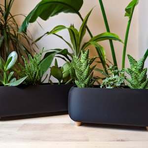 May include: Two black rectangular planters with wooden legs, each containing a variety of green succulents. The planters are on a light wood surface.