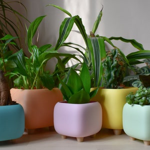 Pastel Cube Plant Pot with Feet, Colorful Indoor Planter, 3D Printed Eco Friendly PLA