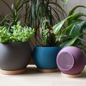 May include: Three round planters in different colours: grey, teal, and purple. The grey planter has a succulent plant, the teal planter has a cactus, and the purple planter has a decorative pattern.