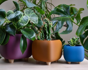 Rounded Cube Pot, planter, pot with feet, coloured pot, indoor plant pot