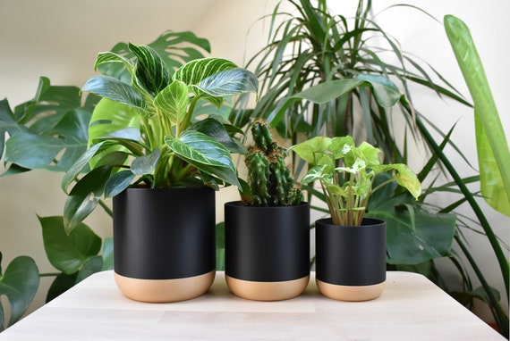 Black Modern Plant Pot With Drainage Dish, Eco-friendly PLA - Etsy