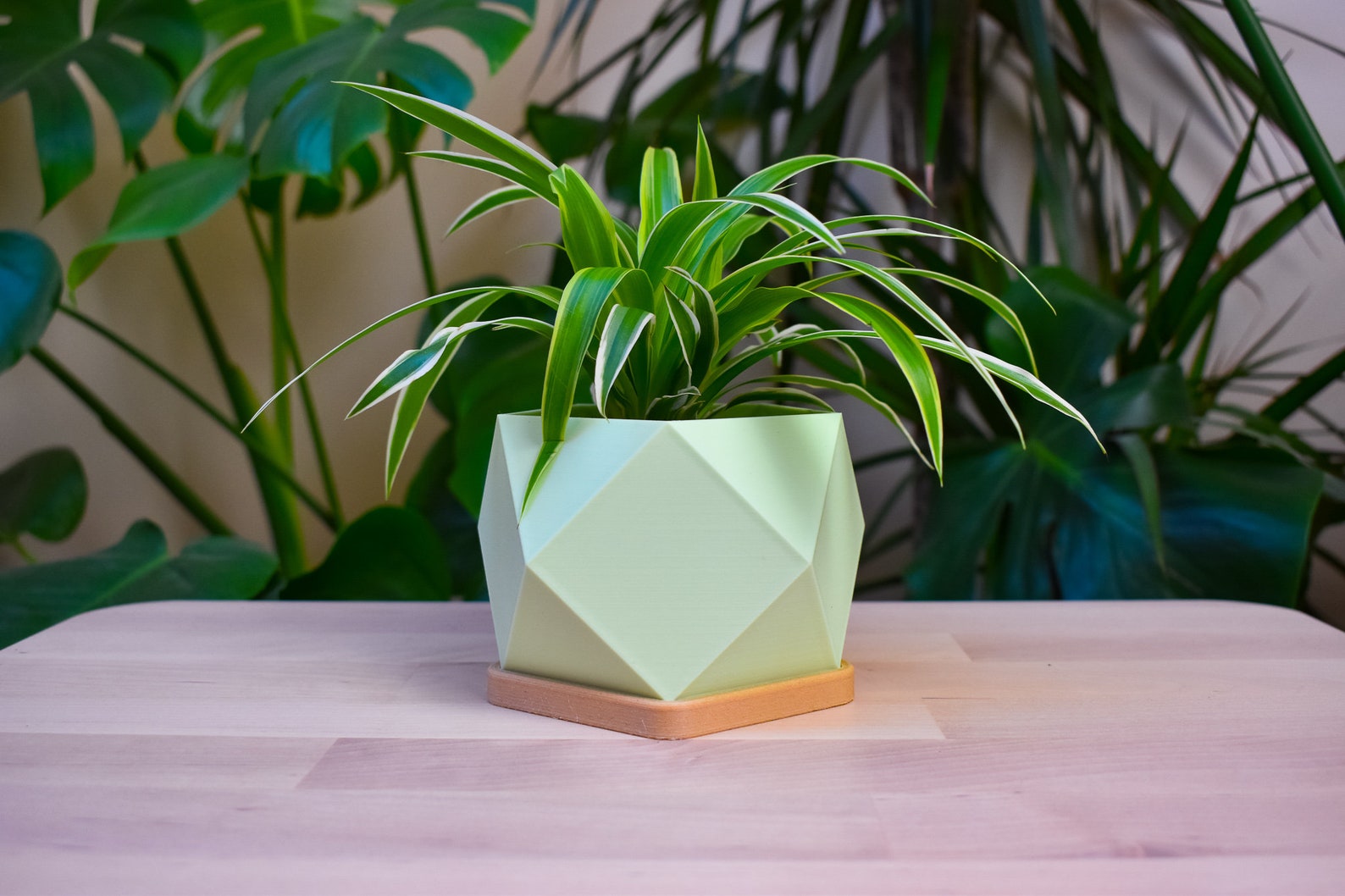 Geometric Pot with Drainage and Wooden Styled Dish. planter Etsy