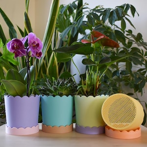 May include: Four potted plants with scalloped pastel-coloured planters. The plants include a succulent, a green leafy plant, a pink orchid, and a leafy plant with red flowers. A yellow speaker with a honeycomb pattern is in front of the planters.