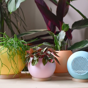 Pastel Sphere Planter Pot with Drainage, 3D Printed Eco Friendly PLA