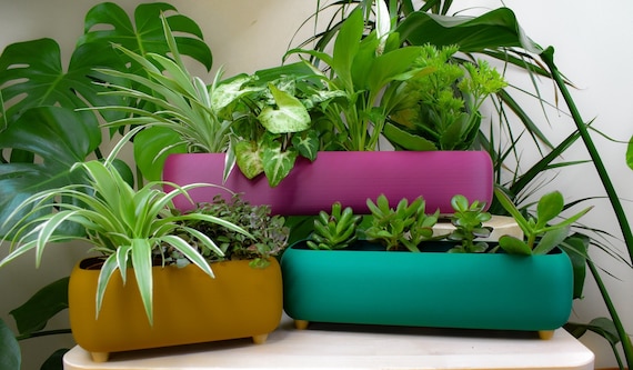 Long plant pot deals