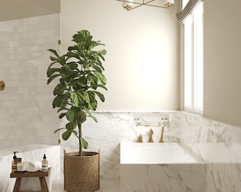 Custom Bathroom 3D Rendering, Interior Design Visualization