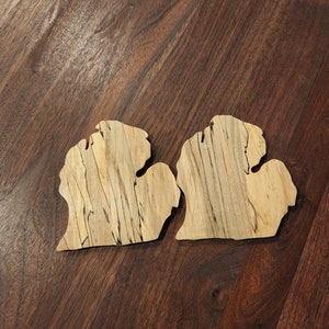 Michigan Coasters
