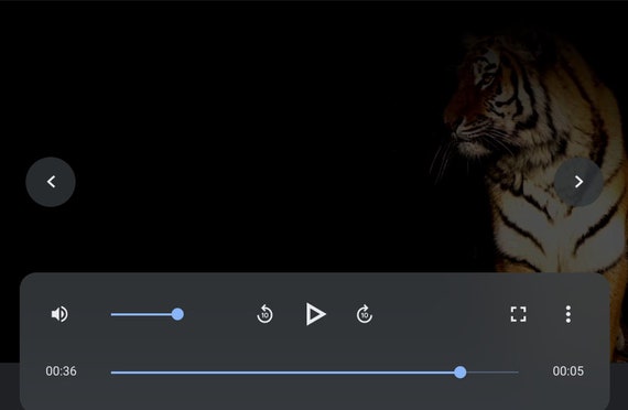 Tiger Yawn 1080p MP4 Video File Download - Etsy Tiger Yawn 1080p MP4 Video File Download - Etsy