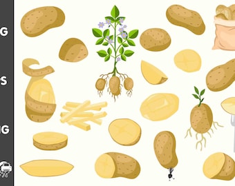 Farm Fresh Potato Graphics | Rustic Vegetable Clipart Bundle | SVG, PNG, EPS Files | Illustration Vector Set