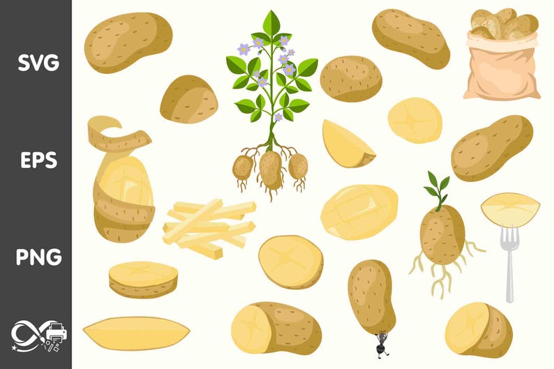 Farm Fresh Potato Graphics | Rustic Vegetable Clipart Bundle | SVG, PNG ...