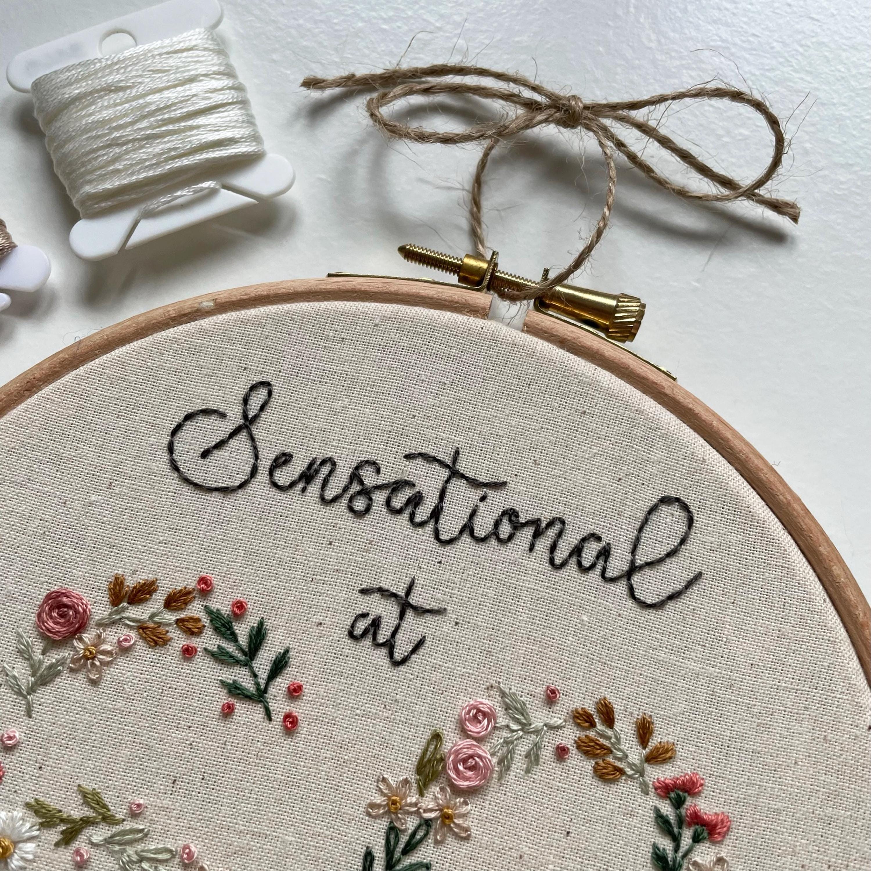 60 歳にしてセンセーショナル // 6 インチの刺繍枠アート // 説明書